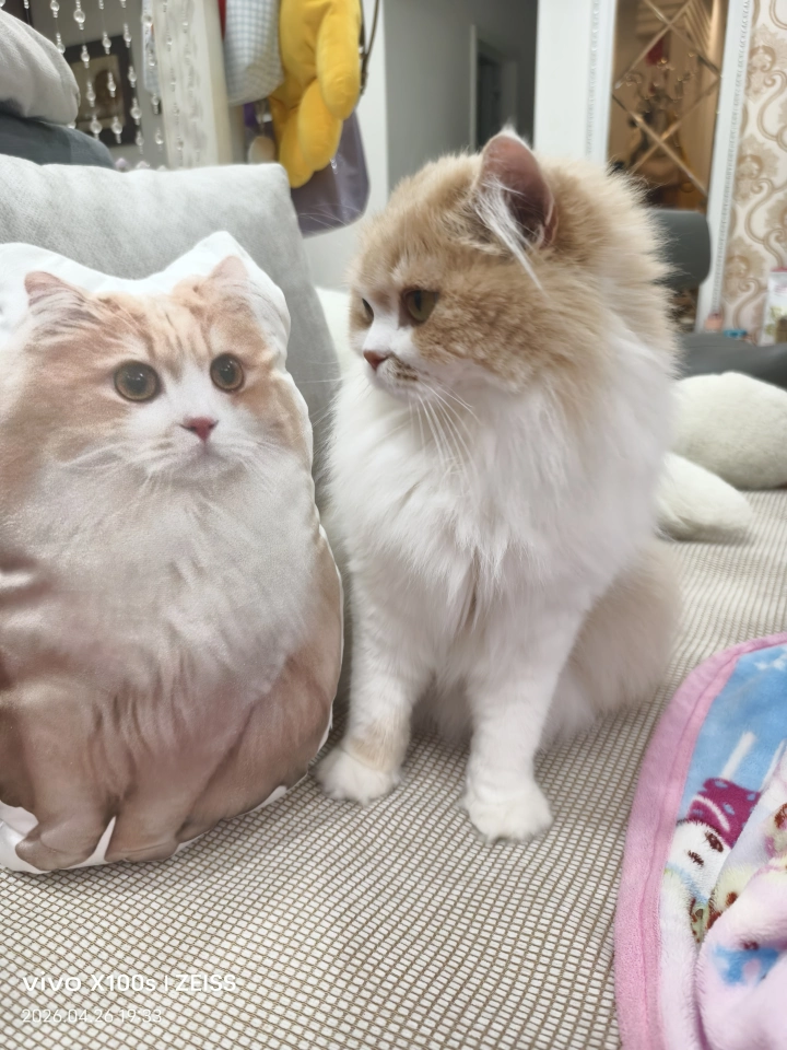 オリジナル クッション 抱き枕