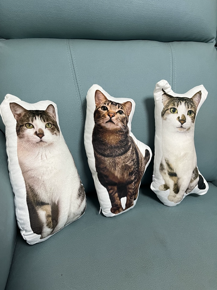 オリジナル クッション 抱き枕