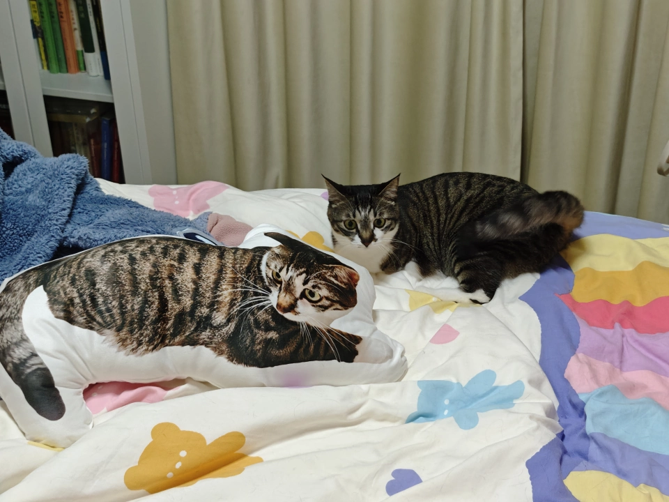 オリジナル クッション 抱き枕