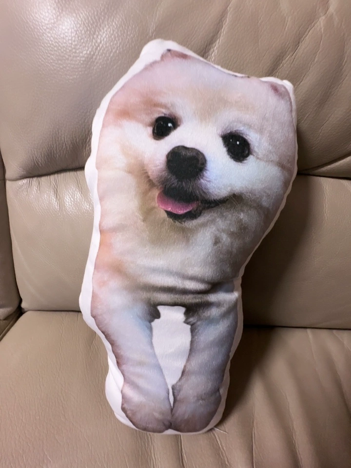 オリジナル クッション 抱き枕