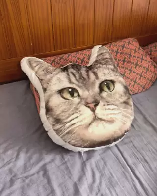 制作実例