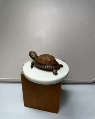 制作実例