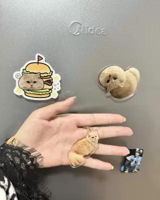 制作実例