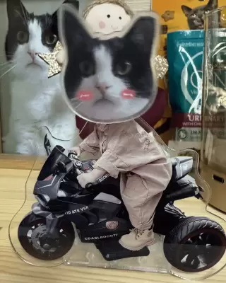制作実例
