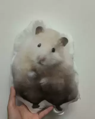 制作実例