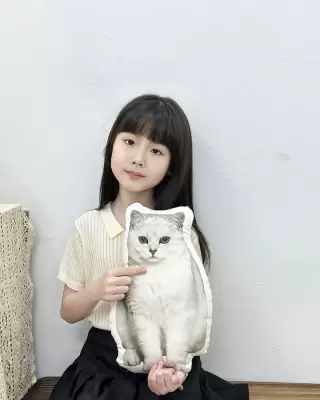 制作実例